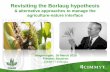 Revisiting the Borlaug hypothesis