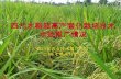 0804 Sichuan PDA SRI Report