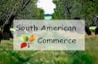 South american commerce products