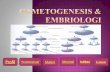 Gametogenesis & embrriogenesis