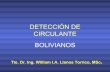 Detección de Bolivianos
