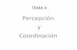 Tema 4 percepción y coordinación