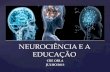 Neurociência e a educação