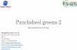 Panchsheel greens 2 Noida Extension New Apartments