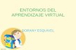Entornos del aprendizaje virtual