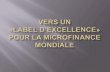 French Toward a seal of excellence in global microfinance   march2011