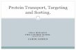 Protein transport, targeting and sorting