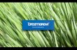 Dreamgrow presentation