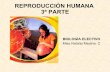 ReproduccióN Humana (3ª Parte)