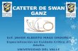 CATETER DE SWAN GANZ ELECTIVA III UCI ENFERMERIA