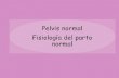 Pelvis normal y fisiologia de parto normal
