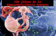 Vih (virus de la inmunodeficiencia humana)