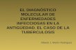EL DIAGNÓSTICO MOLECULAR DE ENFERMEDADES INFECCIOSAS EN LA ANTIGÜEDAD. EL CASO DE LA TUBERCULOSIS