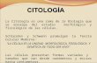 Citología e Histología