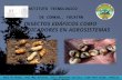 Insectos edáficos como bioindicadores de la vegetación