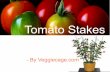 Several Advantages Of Using Tomato Stakes