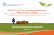 Module 2: Overview of Nationally Appropriate Mitigation Actions – the FAO Learning tool on Nationally Appropriate Mitigation Actions (NAMAs) in the agriculture, forestry and other