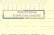 Ur proteínas especializadas (1)