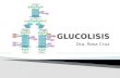 Glucolisis Bioquimica