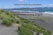 Brendon Green - Tainui Kawhia Incorporation - Tainui Kawhia Ironsands project - indigenous development led by a Maori incorporation