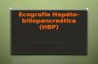 Ecografía hepáto biliopancreática (hbp)