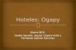 Hoteles ogapy matriz bcg
