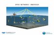 Open Networks Undersea