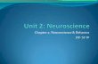 Unit 2: Neuroscience