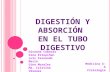 Digestion y absorcion en el tubo digestivo