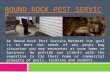 Round Rock Pest Service