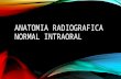 Anatomía radiográfica normal intraoral