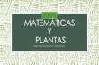 Taller Matemáticas y Plantas