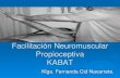 Facilitación neuromuscular 15