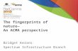 Radcomms 2012, Session One: ACMA perspective - Bridget Kerans