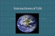 Interactions Of Life Ppt