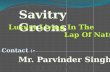 Savitry greens presentation 2