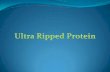 Ultra ripped protein