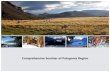 Comprehensive Seminar Of Patagonia Region (English)