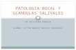 Patología bucal y glándulas salivales (Otorrinolaringologia)