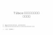 Tibco的SOA应用及2009 IT架构趋势研讨会