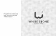White Stone. Logo concept presentation
