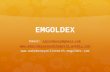 Emgoldex Presentation in Tagalog (by extreme bigtime team)