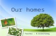 english-2 " Our homes"