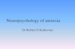 Neuropsysiology of amnesia