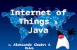 Internet of Things & Java by Aleksandr Chudov & Duke