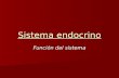 Presentacion sistema endocrino