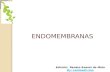 Endomembranas mitocondrias