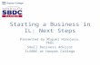 Starting a business in il next steps