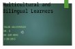 Adlesperger t multicultural and bilingual learners