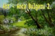 Art   Anca Bulgaru 2